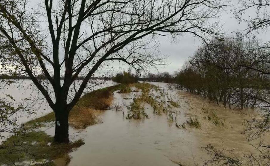 il fiume bormida in piena (ansa girani)