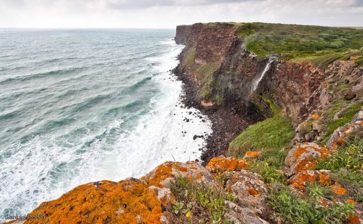 cascata sul mare capo nieddu