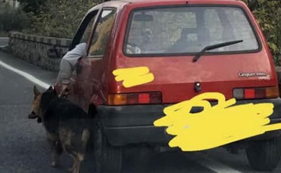 la foto postata su facebook ( ciromarra)