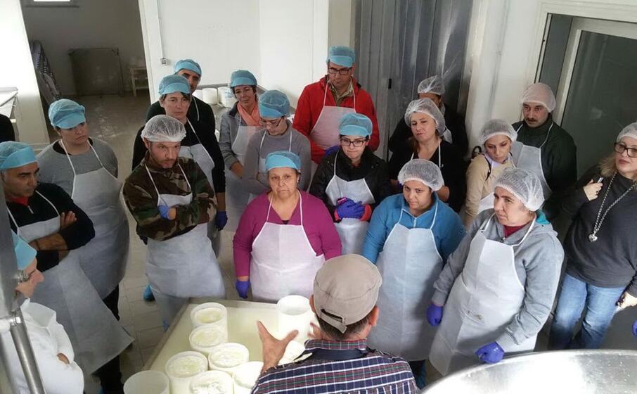 l azienda zootecnica cuscusa di gonnostramatza (foto antonio pintori)