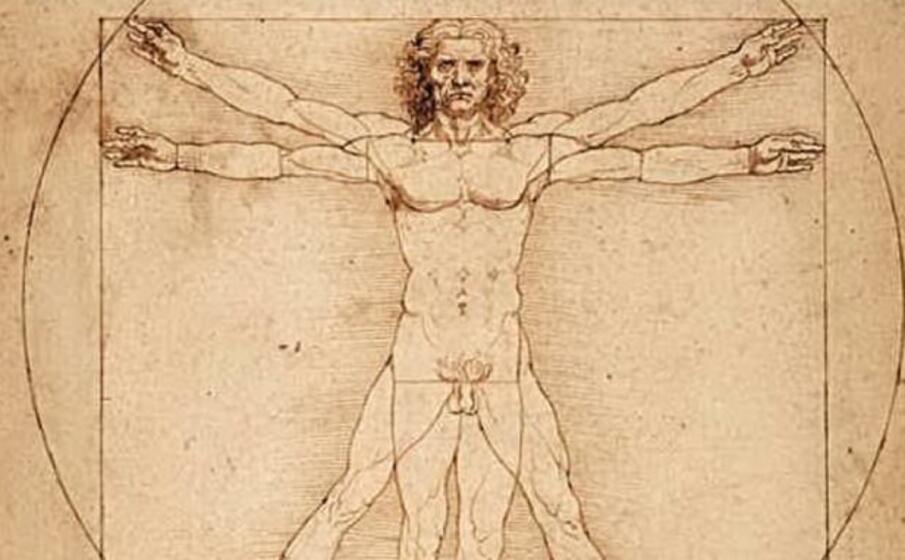 Uomo Vitruviano di Leonardo: la scoperta: Uomo Vitruviano di Leonardo: la scoperta: