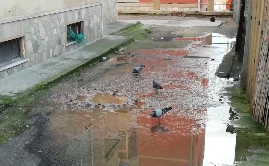 la foto inviata dal lettore
