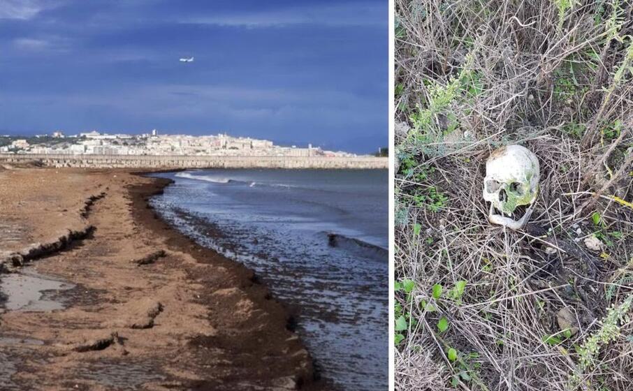 la spiaggia di giorgino e il teschio