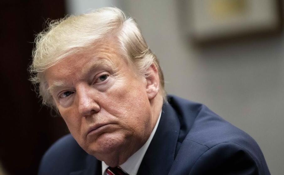 donald trump (ansa)
