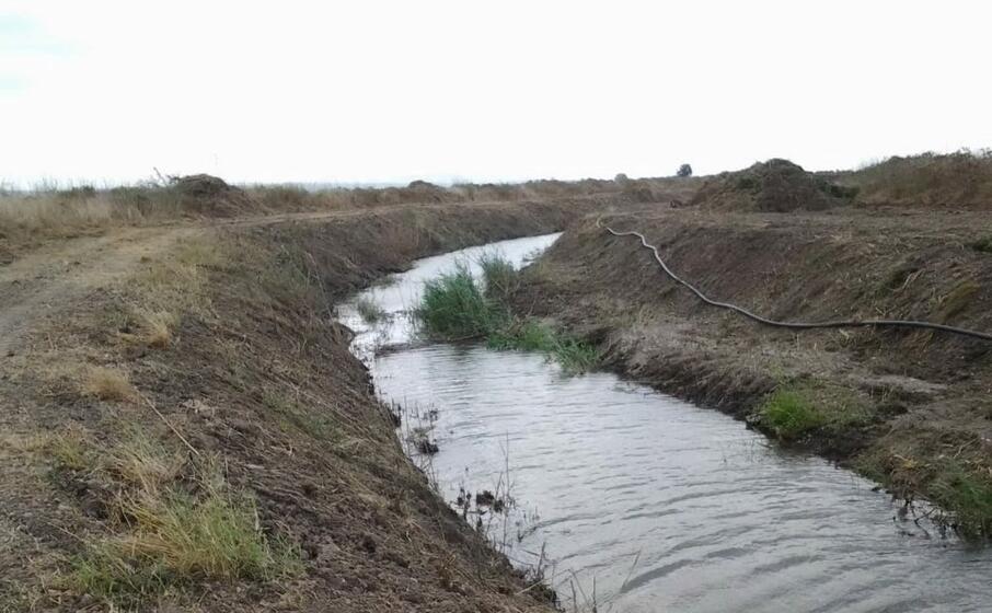 un canale del consorzio di bonifica nell oristanese (l unione sarda foto sanna)