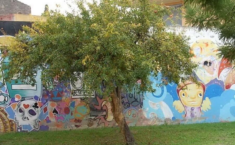 il giardino della biblioteca (l unione sarda foto sirigu)