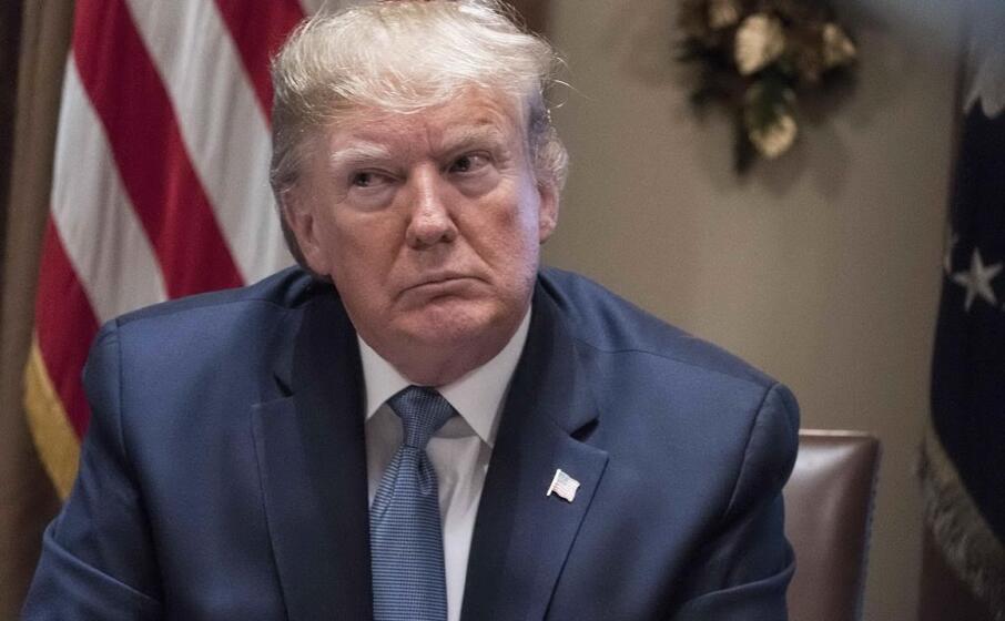 donald trump (ansa)