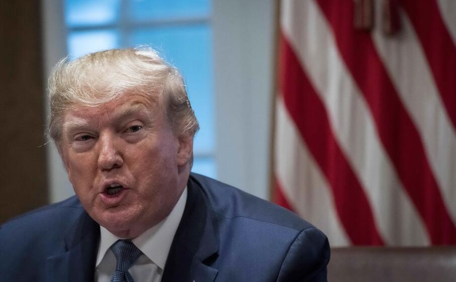 donald trump (ansa silbiger)