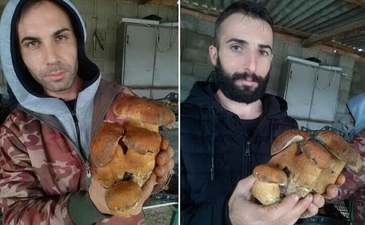 i fratelli tomas e oscar mario corona di maracalagonis un porcino a quattro teste da 1 2 chili trovato in barbagia