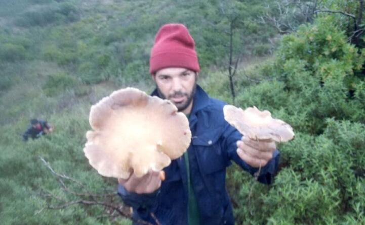 ignazio spada ha trovato questi funghi in zona santadi la foto inviata dal fratello alessandro