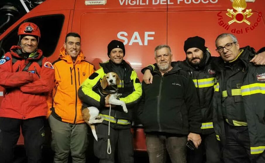 il cane con i soccorritori (foto vigili del fuoco)