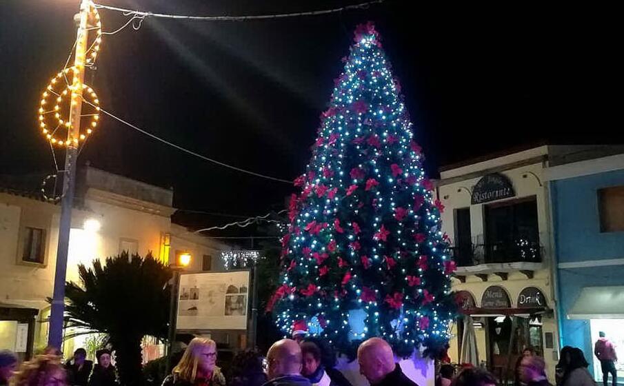 l abete in piazza del popolo (foto i murgana)