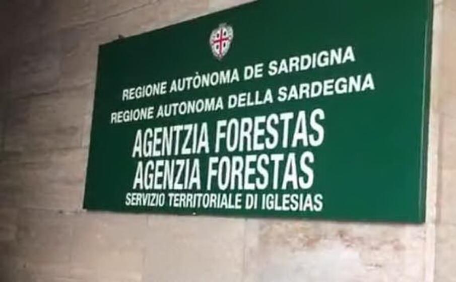la sede di forestas (l unione sarda foto simbula)