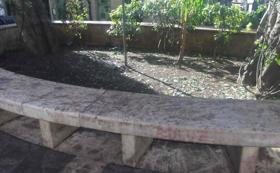 il guano ricopre piazza savoia (foto marcello cocco)