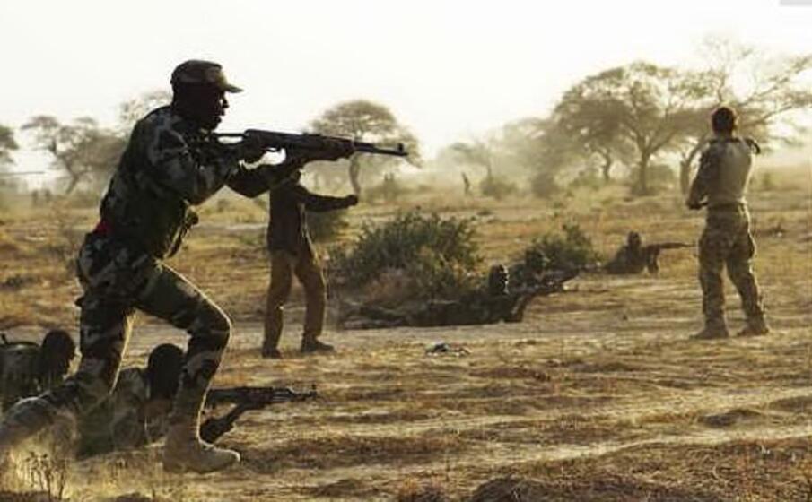 scontri in niger (ansa)