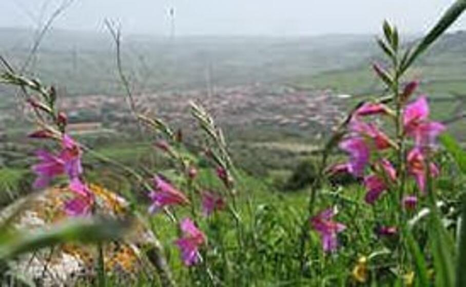 villaurbana