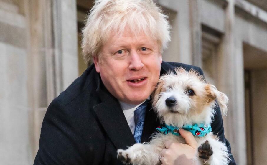 boris johnson alle urne con cane al seguito (ansa flores)