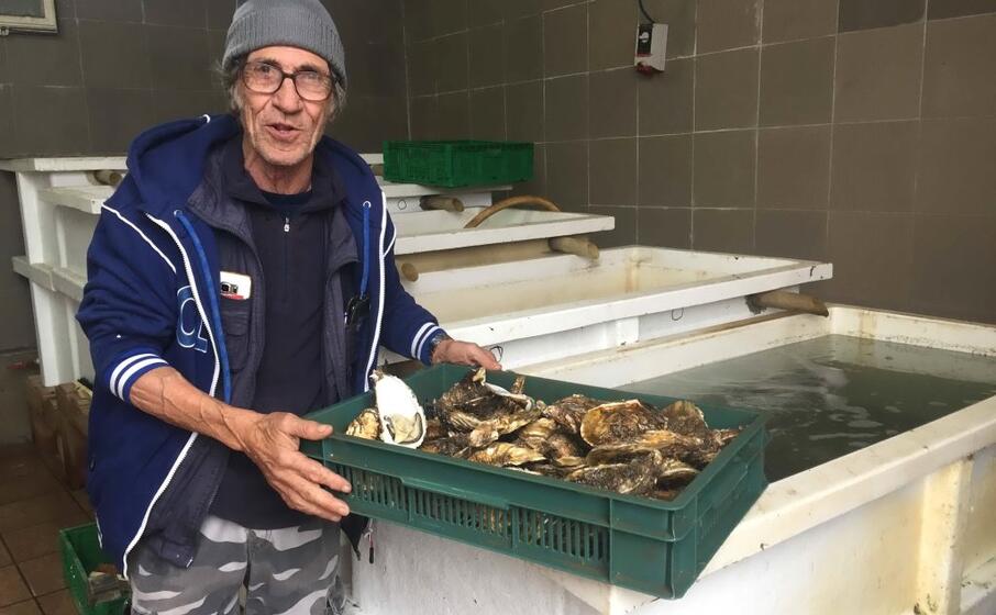 franco masala allevatore di ostriche (foto andrea piras)
