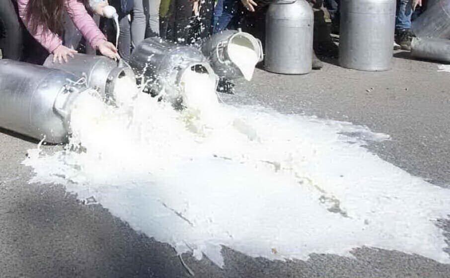 latte sversato durante le proteste di febbraio (archivio l unione sarda)