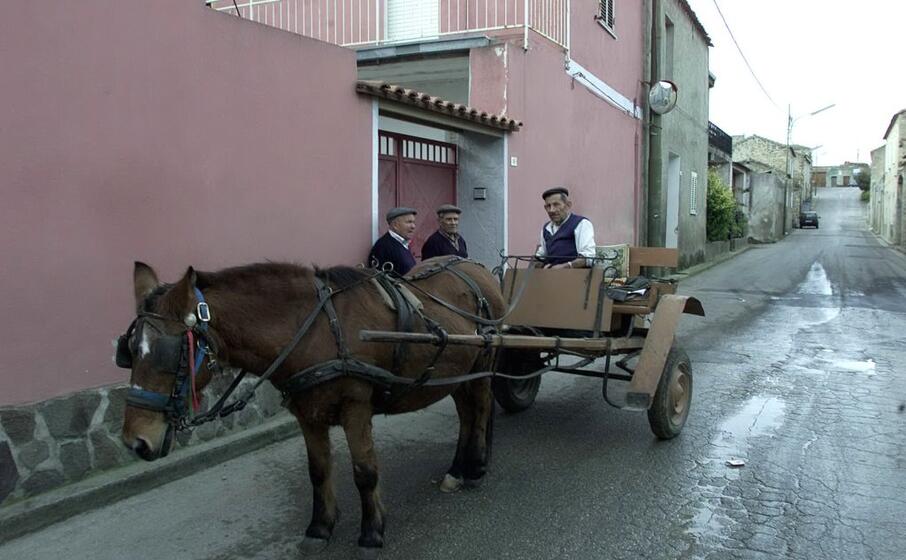 un carretto a guasila (archivio l unione sarda nioi)