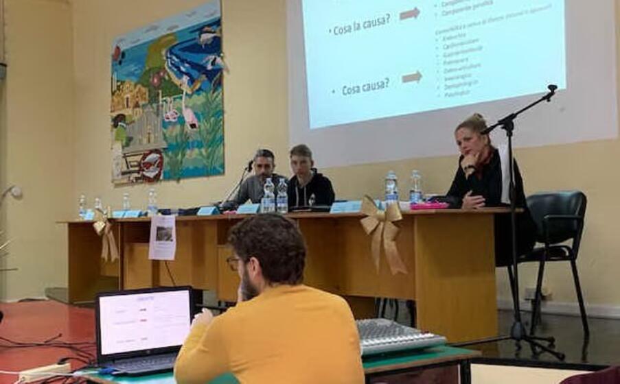 la presentazione dello studio (l unione sarda foto pinna)