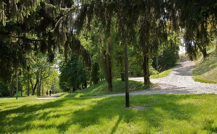 a lui sono dedicati un albero e un cippo nel giardino dei giusti di tutto il mondo di milano (le foto sono wikipedia)