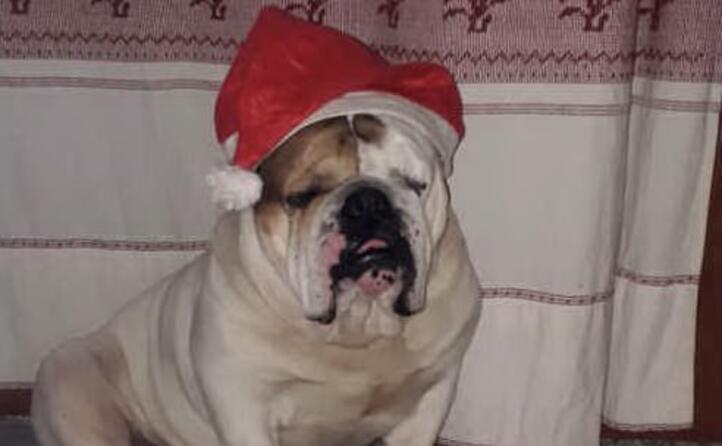 anche cesare da dolianova in posa per la foto di natale