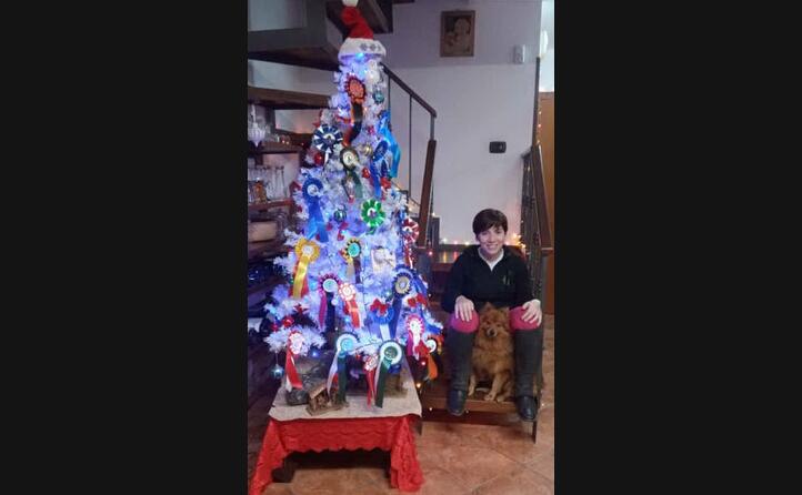 chiara e il suo carletto in posa di fianco all albero di natale addobbato con le coccarde vinte dalla figlia