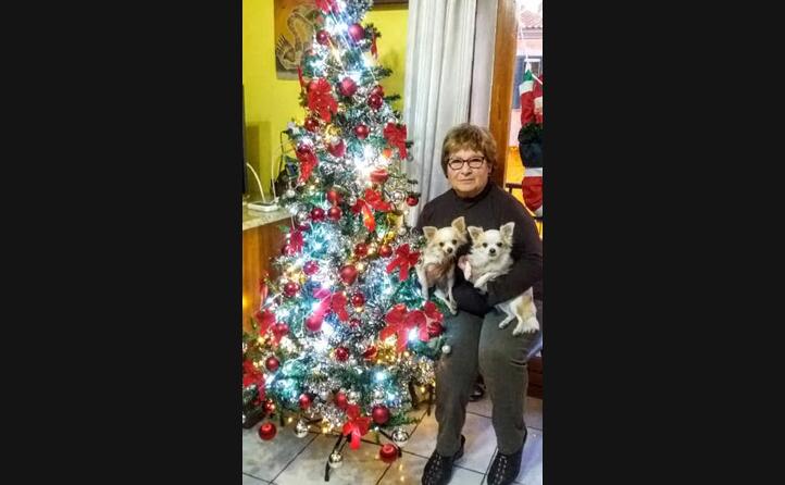 la signora maddalena zucconi da santa maria coghinas in posa davanti all albero di natale in compagnia di emy e jolie