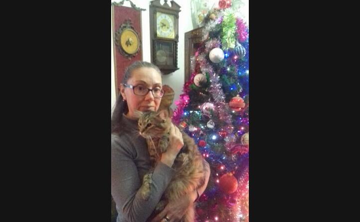 sabrina casti e il suo bel gattino davanti all albero di natale nella loro casa di quartu sant elena
