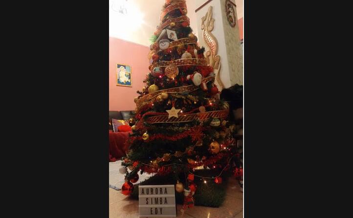tutto pronto per la grande notte ecco l albero di natale di aurora simba e edy