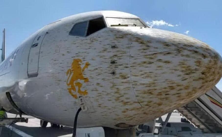 il muso dell aereo dopo l urto con lo sciame (foto aeronews facebook)