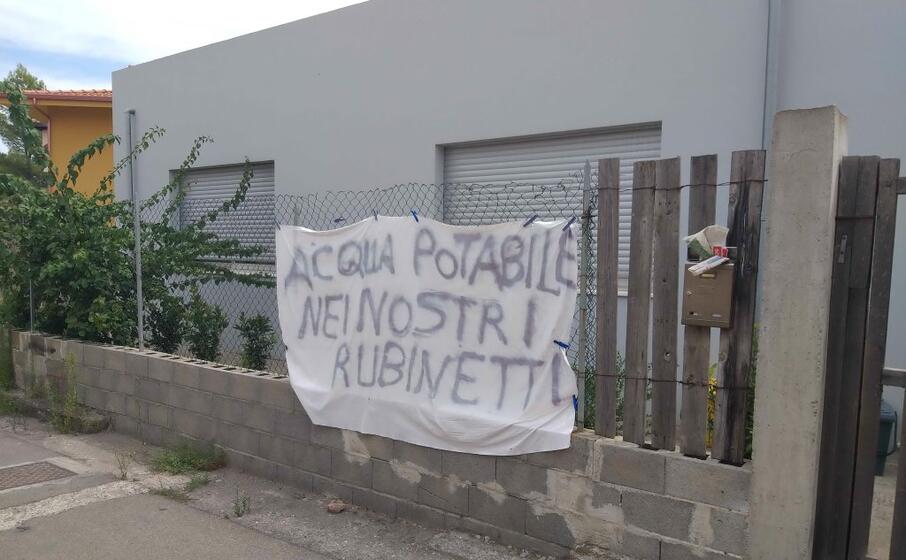 (foto farris)