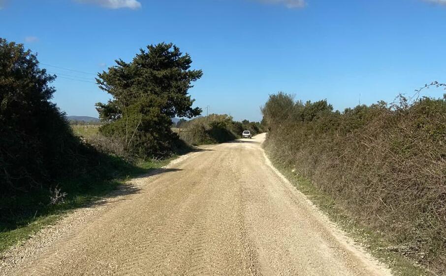 la strada alternativa