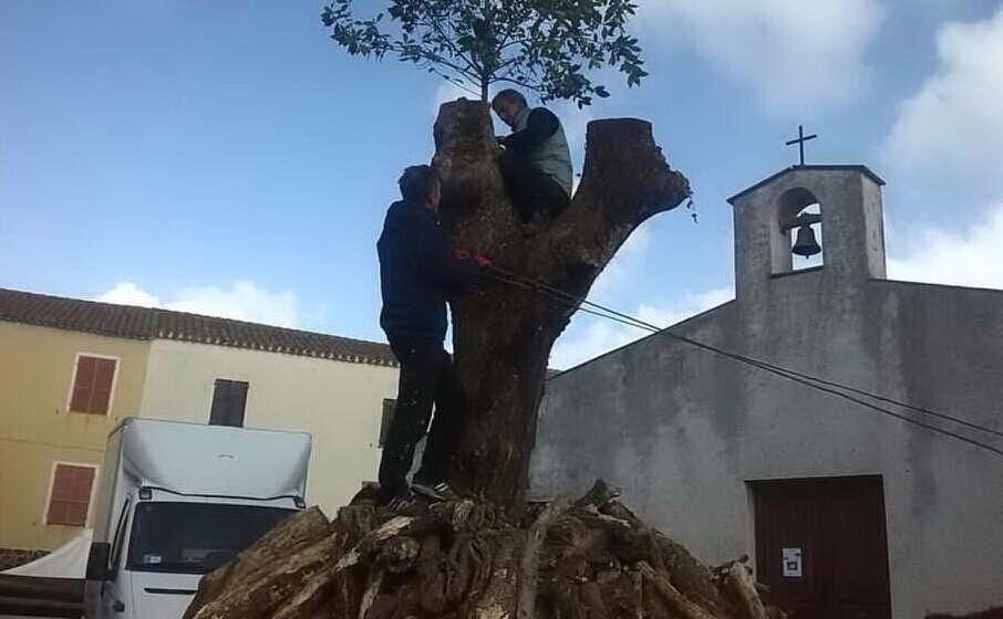 a macomer si prepara sa tuva (foto francesco oggianu)