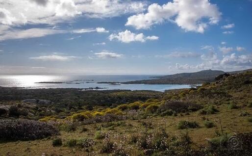 Una panoramica dell'Asinara (archivio L'Unione Sasrda)