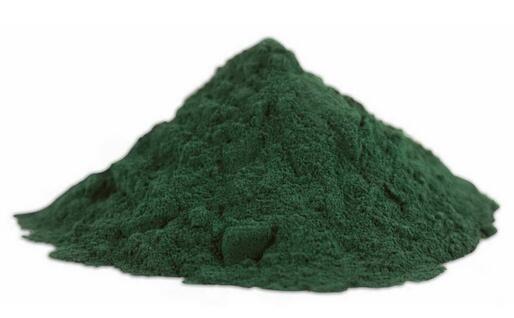 La spirulina (foto da Google)