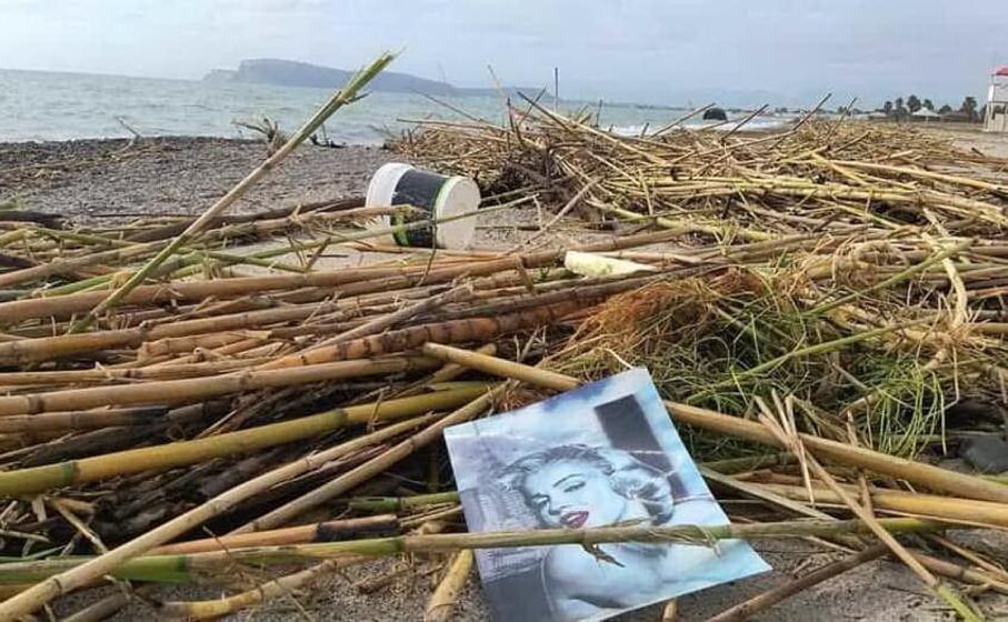 rifiuti tra le canne al poetto (l unione sarda foto daga)