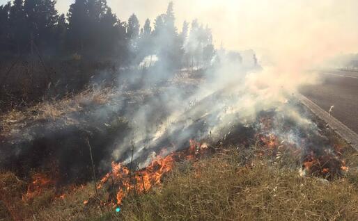 Fiamme a bordo strada (foto L'Unione Sarda - Deidda)