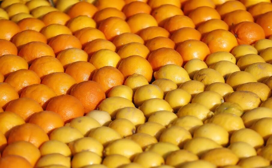 arance e limoni utilizzati durante il festival