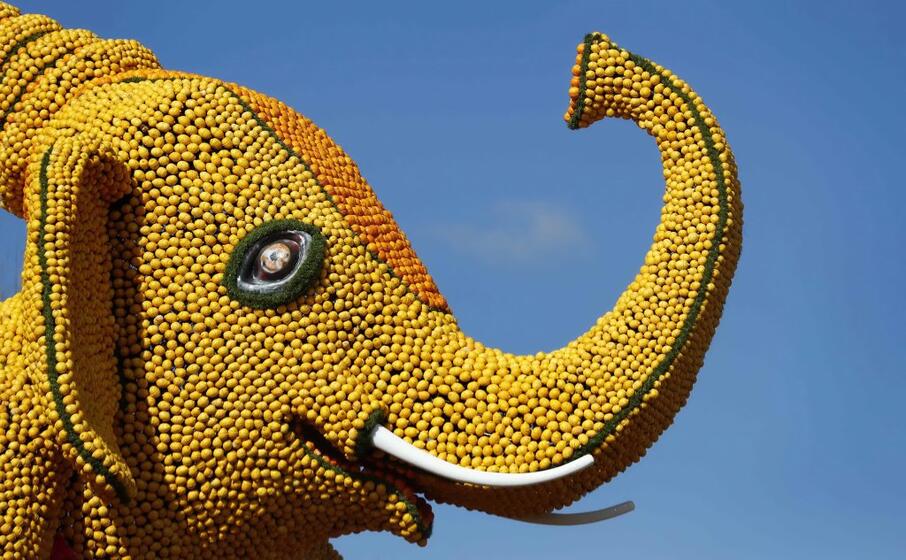 sculture fatte di agrumi sfilano alla festa di mentone