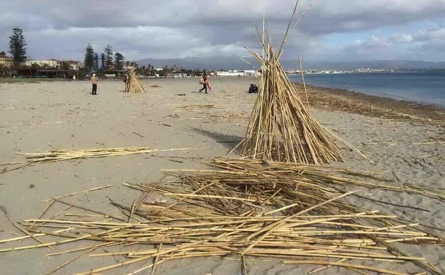 le canne al poetto (archivio l unione sarda foto almiento)