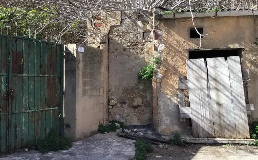 (foto m pala