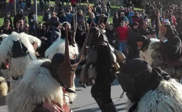 il carnevale nelle strade di ottana foto scattata da rita di serramanna