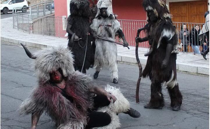 s ursu e is arestes a sorgono foto di luigina muggianu
