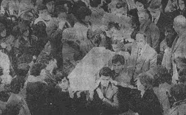 il funerale del piccolo eugenio