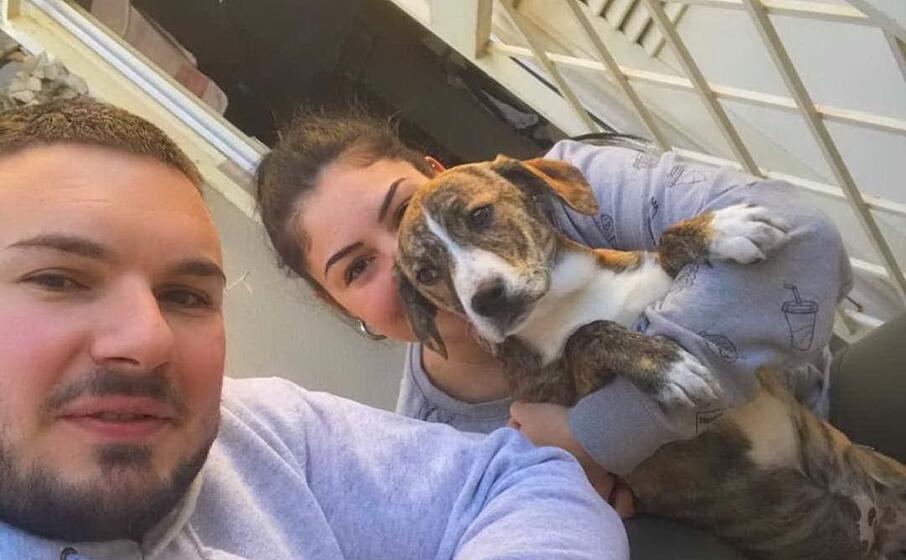 ariel una delle cagnoline adottate (foto g daga)