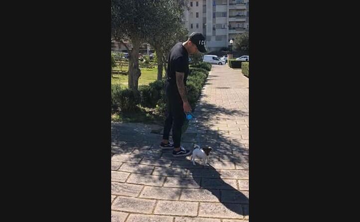 anche oliva esce solo per il giretto con il cane