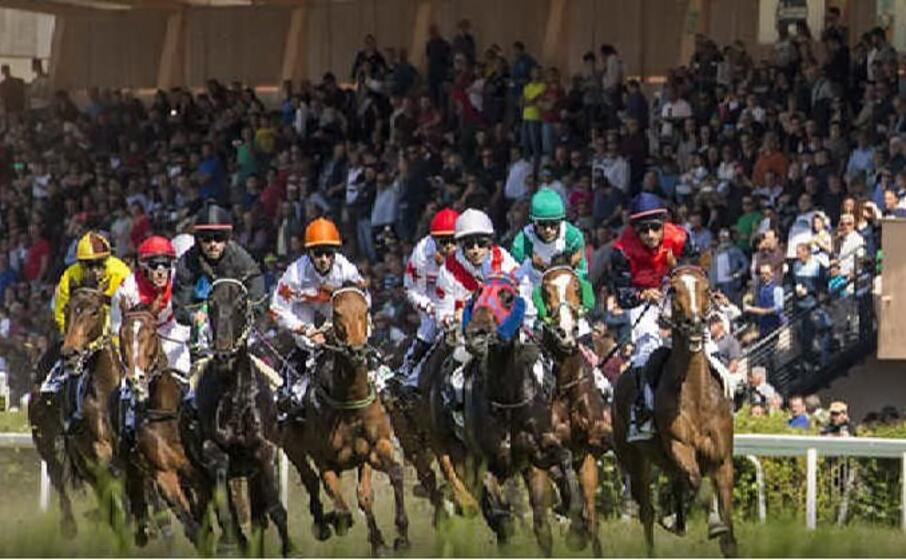 cavalli in gara a chillivani (foto concessa)