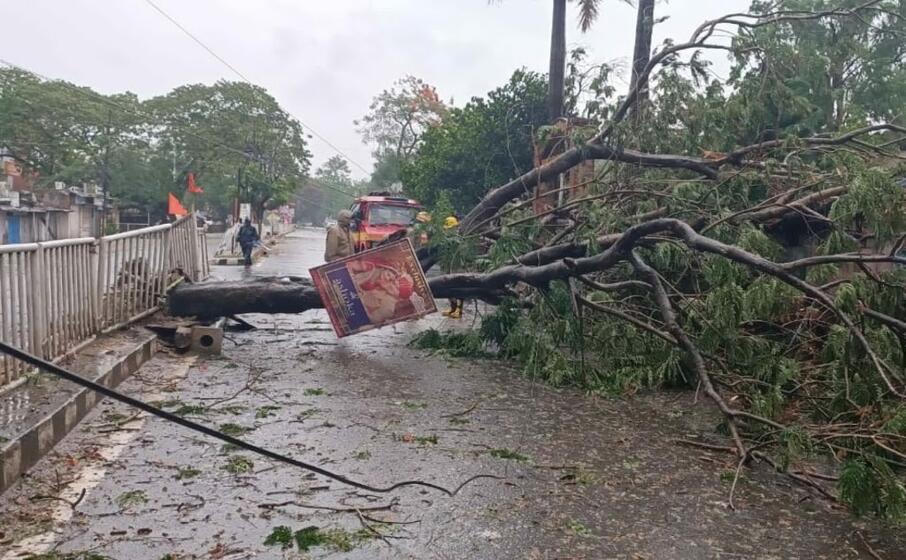 un albero abbattuto in una citt del bengala (ansa str)